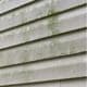 How to clean mold off vinyl siding