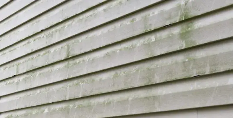 image symbolizing how to Clean Vinyl Siding