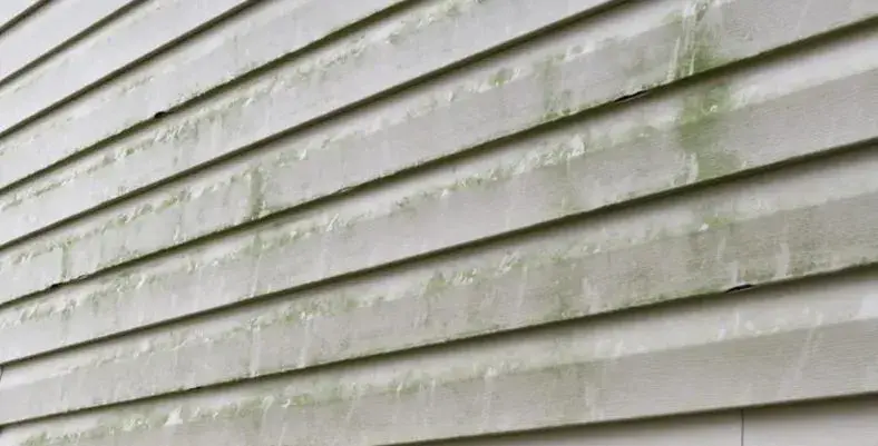 How To Clean Mold Vinyl Siding